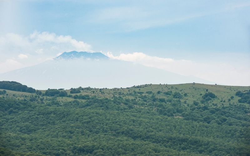 Progetto senza titolo (3)